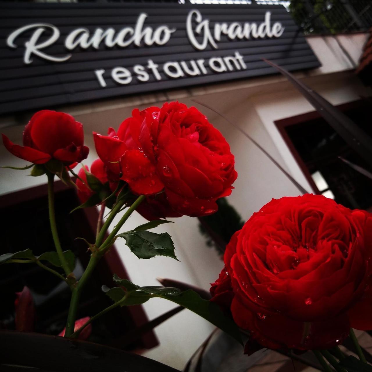 Rancho Grande Hotel Villa General Belgrano Eksteriør bilde